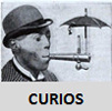 Curios and Stories