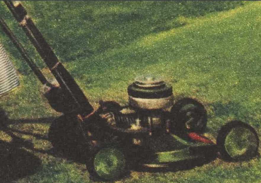 [Linked Image]