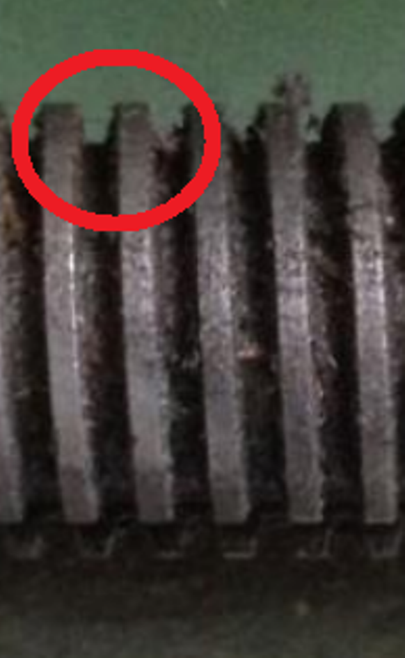 [Linked Image]