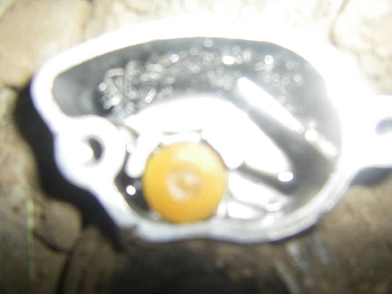 [Linked Image]
