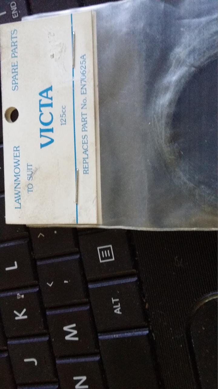 [Linked Image]