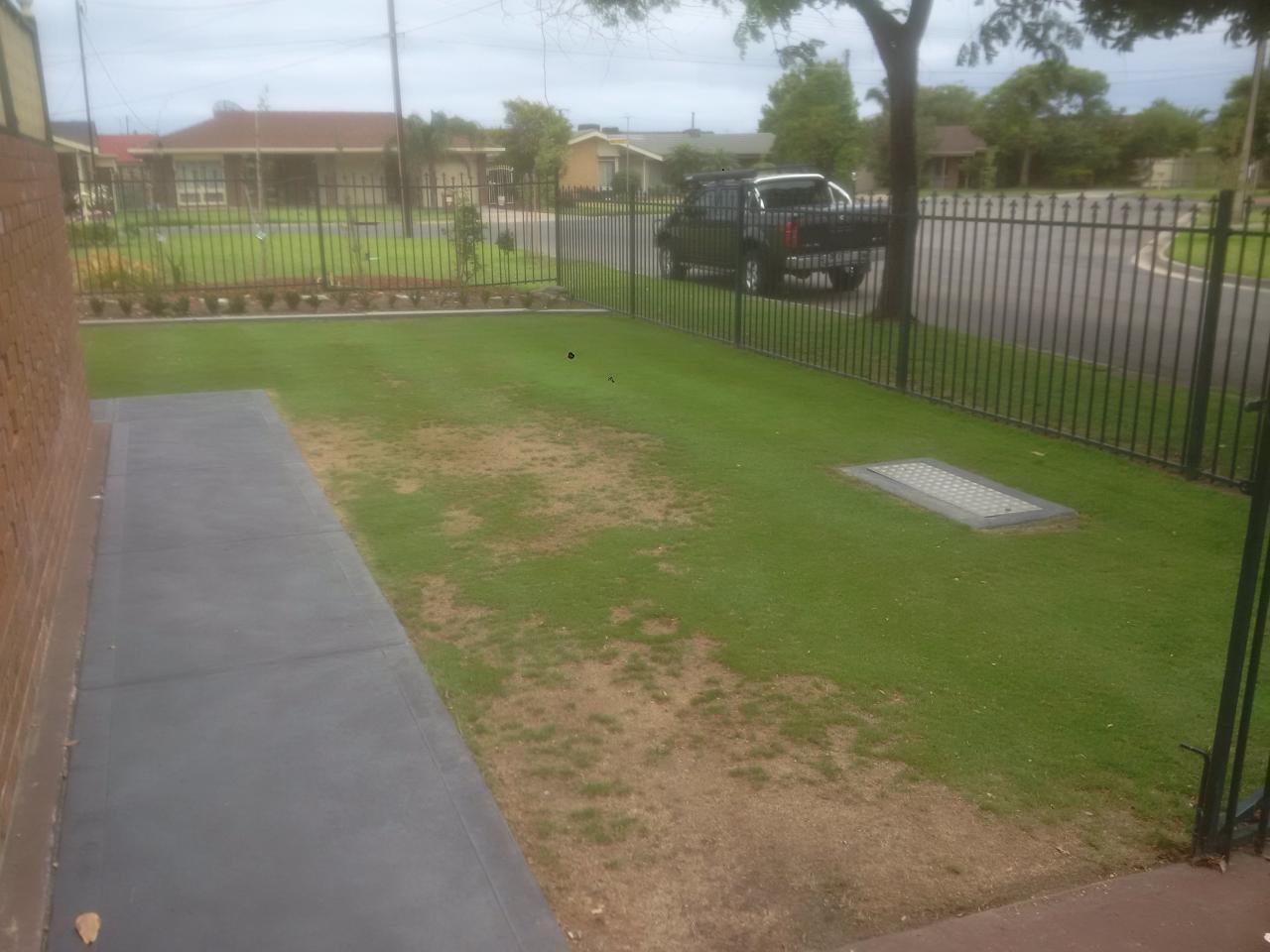[Linked Image]